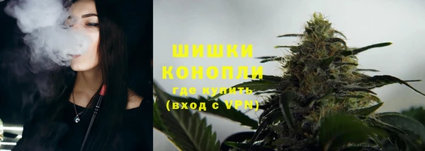 сатива Зерноград