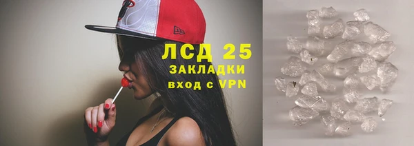 сатива Зерноград