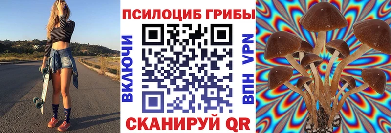 Купить закладки  Заволжск  Галлюциногенные грибы прущие грибы 