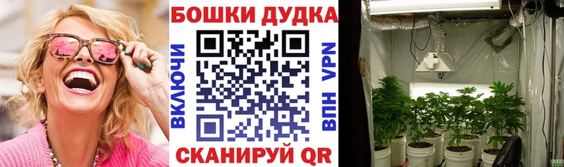 Купить закладки  Заволжск  Конопля гибрид 